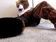 Tiger Fursuiter Vored