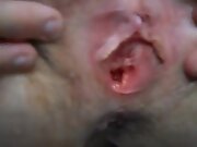 wife spreading wide and getting cock up her ass