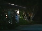 Sarah Jane Hamilton, Mike Horner, Sandra Margot in...