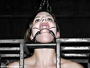 Bobbi Starr in Static - DeviceBondage