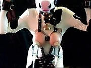 Hucow breast milking