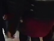 Sexy brunete s ass in red leather skirt