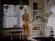 Confessions of Seka - 1980