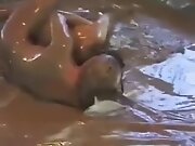 DWW Mud Wrestling Kriszta vs Monika