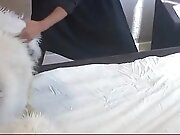 Hardcore vintage porn movie with hot bitches