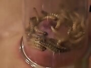 Hot pornstar bdsm bondage and cumshot