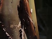 Stocking Masturbation - Lily Ivy