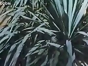 Schwarze Bruste Heisse Luste (starlight Film)