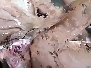 Celeste Star - Randy Lesbians Mind-blowing Sex Clip