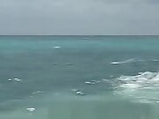 Euro bikini models beach sex and cum swap
