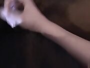horny darksome teen 18+ Sucks tranny Transexual penis And...
