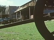 Wilder Classics