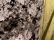 Deux coquines sucrant au gloryhole