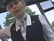 Fantasy Denmark bus
