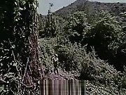 Nude Photo Session of Adorable teen 18+ (1960s Vintage)