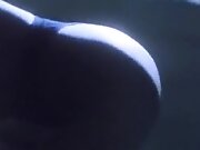 HongKong movie sex scene
