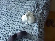 Vacuum pump for your dick and fuck me in the ass while I...