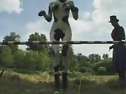 Marquis Ponygirls1