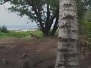 Best homemade Fingering, Outdoor porn movie