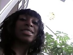 Chocolate Creampie Africa